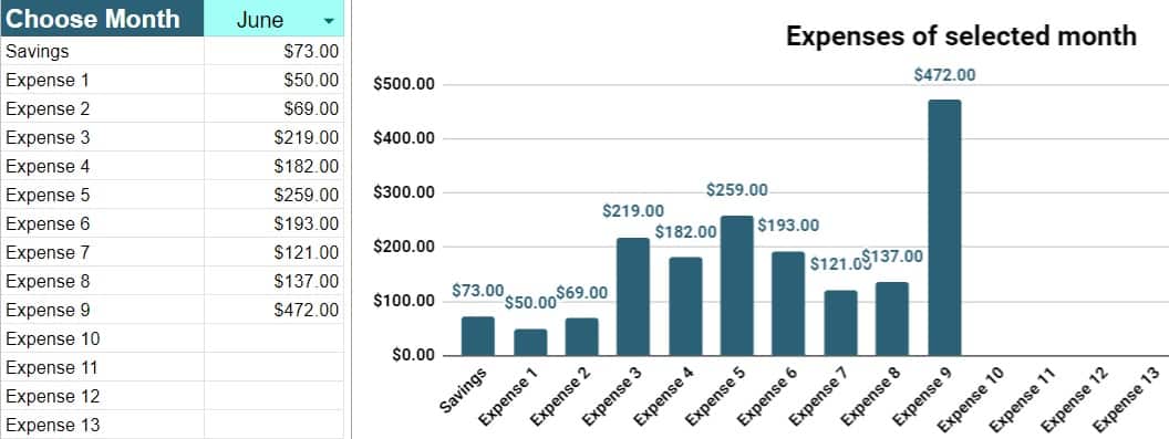 An example that shows what the "Graph" tab looks like in all of the 1-year single sheet trackers. An option that allows the selection of a single month, and a column chart that displays the data visually