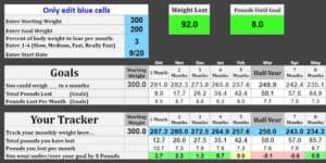 Google Sheets Weight Loss Calculator / tracker by TheShapeWithin.com / Corey Bustos
