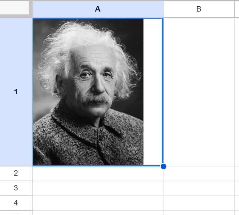 Example of How to add an image to a cell in Google Sheets after inserting the image and after resizing image