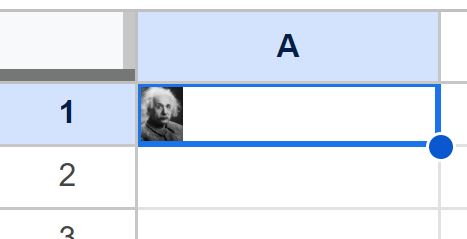 Example of How to add an image to a cell in Google Sheets after inserting the image and before resizing
