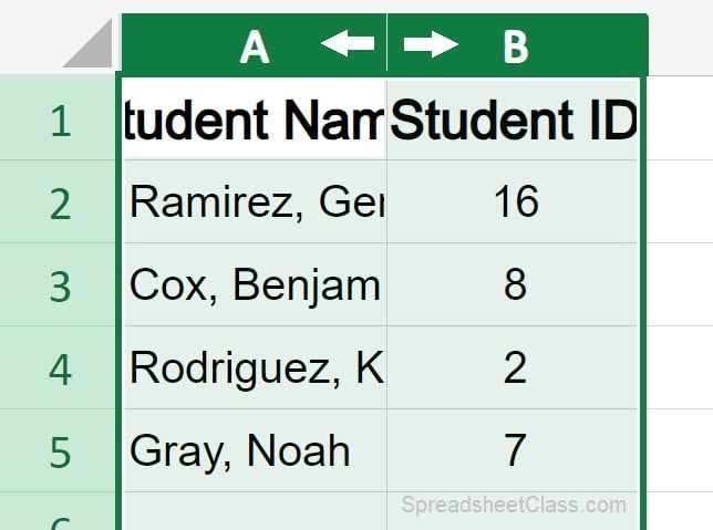 Example of How to autofit column width in Microsoft Excel columns are selected and double headed resizing arrows displaying