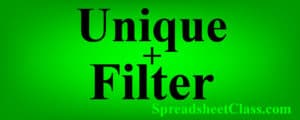 Lesson on UNIQUE FILTER Google Sheets nested formula combination lesson spreadsheetclass.com